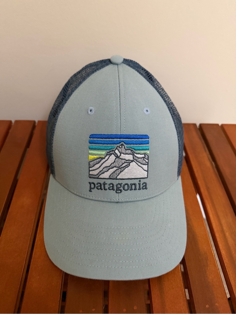 Light Blue Patagonia LoPro Logo SnapBack Truckers Mesh Hat